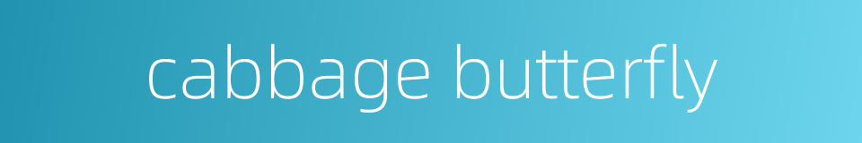 cabbage butterfly的同义词