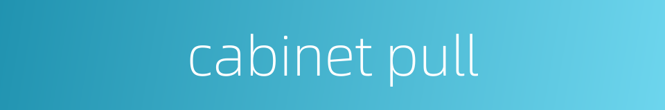 cabinet pull的同义词