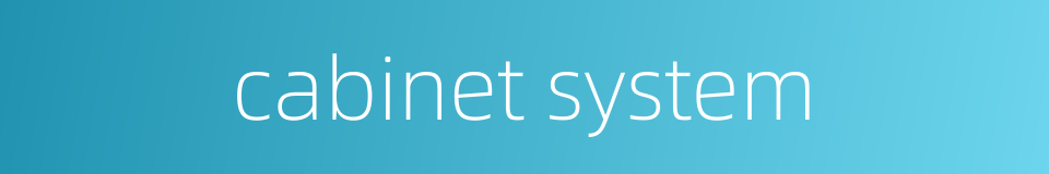 cabinet system的同义词