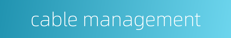 cable management的同义词