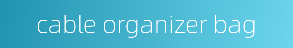 cable organizer bag的同义词