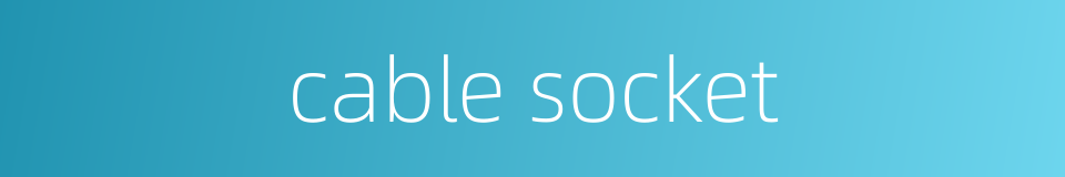 cable socket的同义词