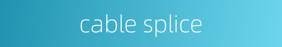 cable splice的同义词