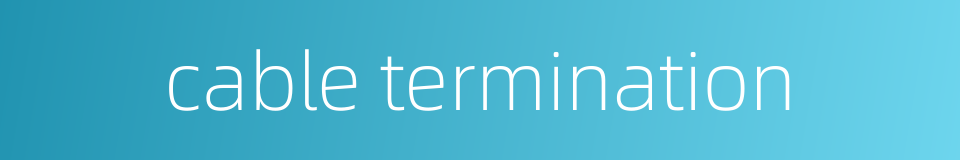 cable termination的同义词