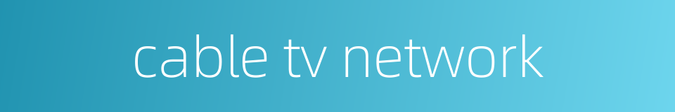 cable tv network的同义词