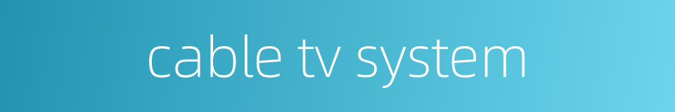 cable tv system的同义词