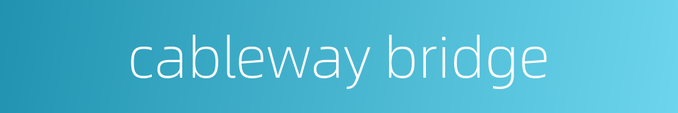 cableway bridge的同义词