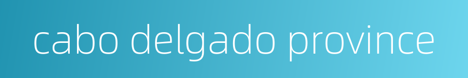 cabo delgado province的同义词