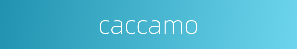 caccamo的同义词