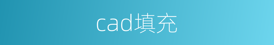 cad填充的同义词