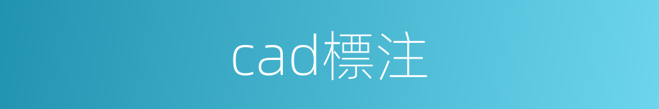 cad標注的同義詞