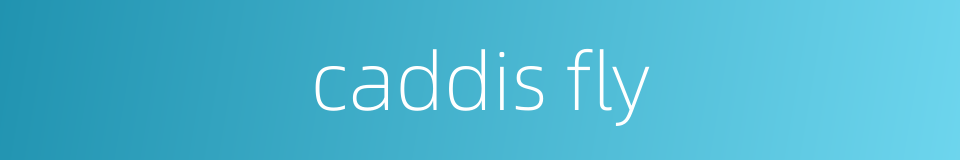 caddis fly的同义词