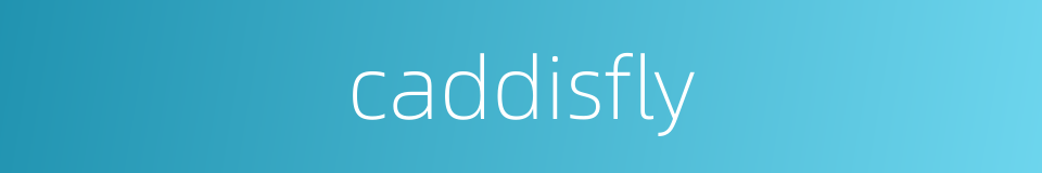 caddisfly的同义词