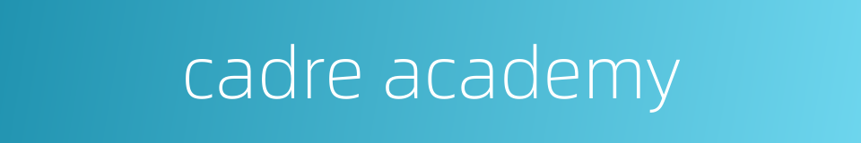 cadre academy的同义词