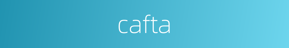 cafta的同义词