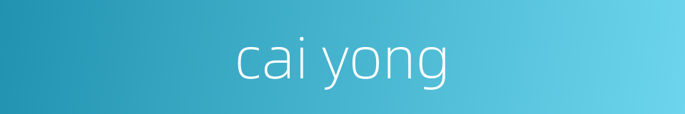 cai yong的同义词