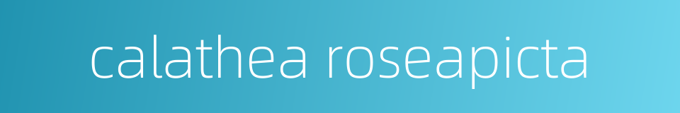 calathea roseapicta的同义词