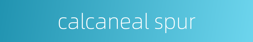 calcaneal spur的同义词