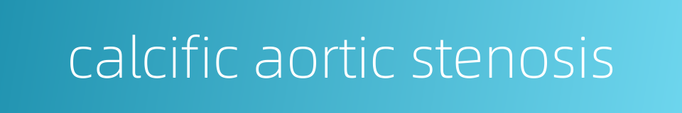 calcific aortic stenosis的同义词