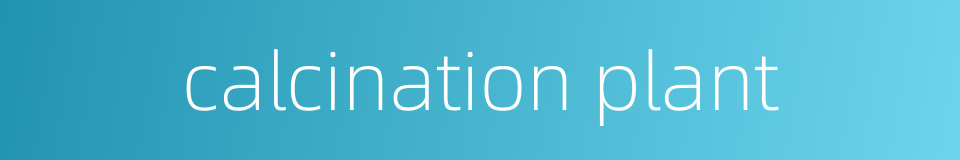 calcination plant的同义词