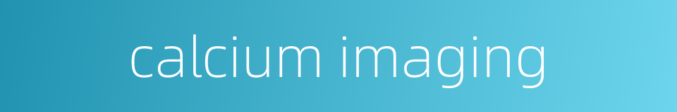 calcium imaging的同义词