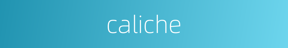 caliche的同义词