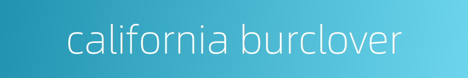 california burclover的同义词