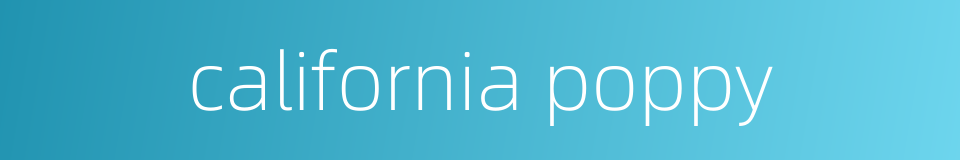california poppy的同义词