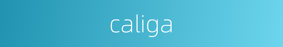caliga的同义词