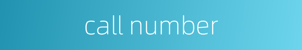 call number的同义词