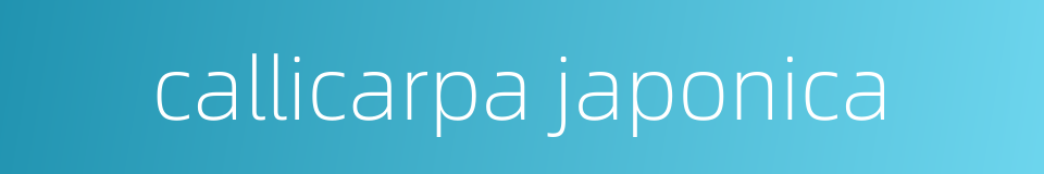 callicarpa japonica的同义词