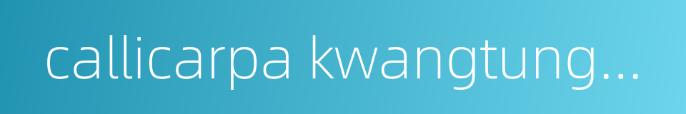 callicarpa kwangtungensis的同义词