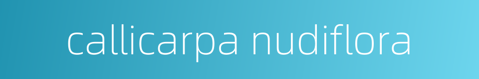 callicarpa nudiflora的同义词