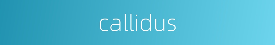 callidus的同义词