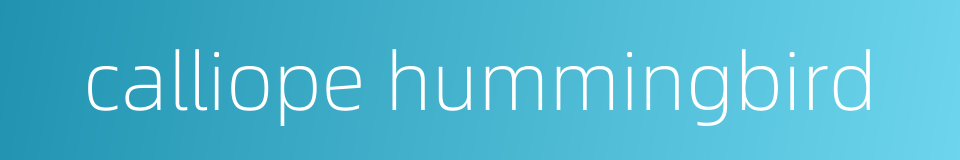 calliope hummingbird的同义词