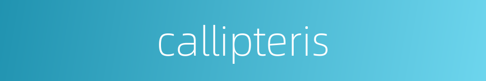 callipteris的同义词