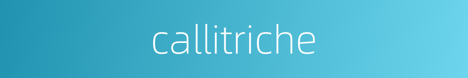 callitriche的同义词