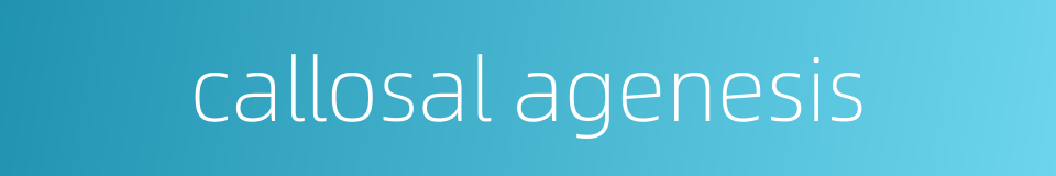 callosal agenesis的同义词