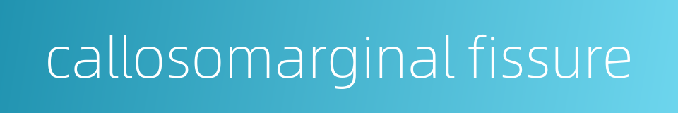 callosomarginal fissure的同义词