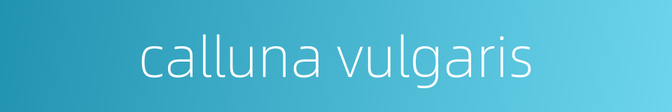 calluna vulgaris的同义词