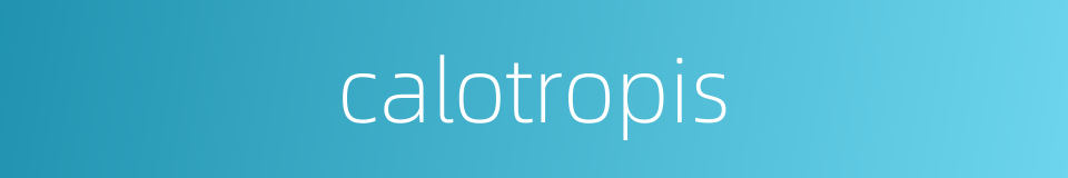 calotropis的同义词