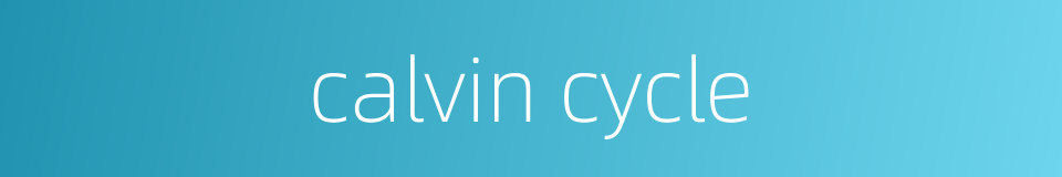 calvin cycle的同义词
