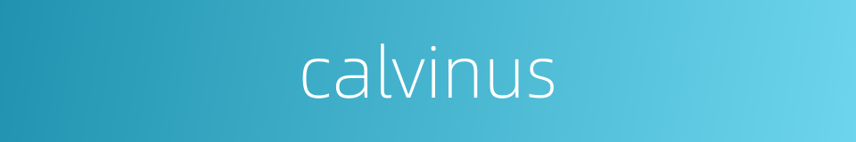 calvinus的同义词