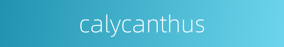 calycanthus的同义词