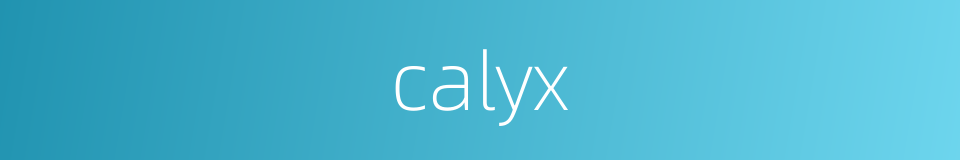 calyx的同义词