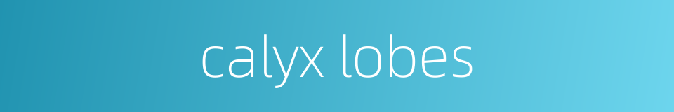 calyx lobes的同义词