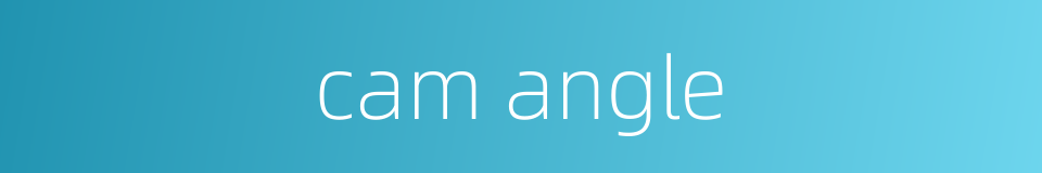 cam angle的同义词
