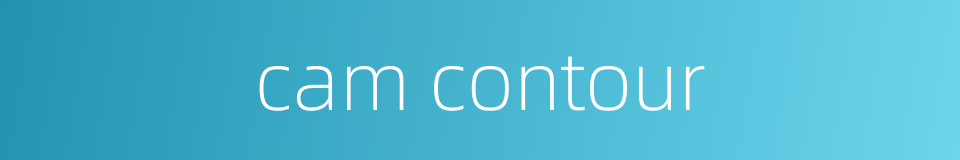 cam contour的同义词