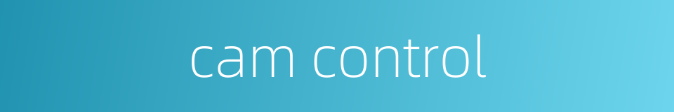 cam control的同义词