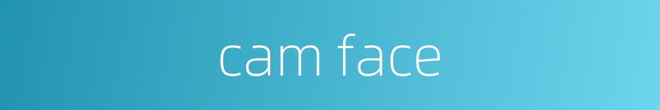 cam face的同义词